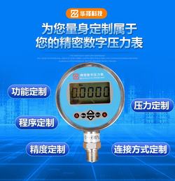 “湘潭dp101數顯真空壓力表說明“/