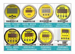 “東莞精密壓力表