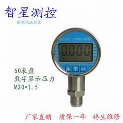 “武漢數顯氣壓力表“/
