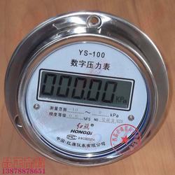 “大連進口數字式壓力表“/