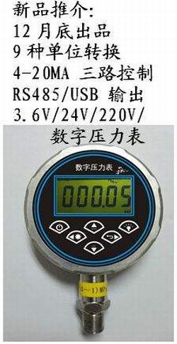 “無錫數(shù)顯壓力表怎么調(diào)“/
